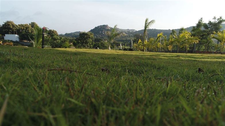 GD - plots/residential